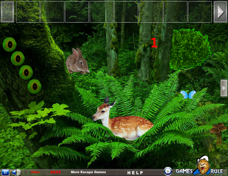 Wild Animals Forest Escape