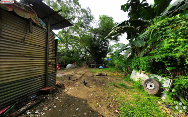 Kampong Buangkok - Backyard