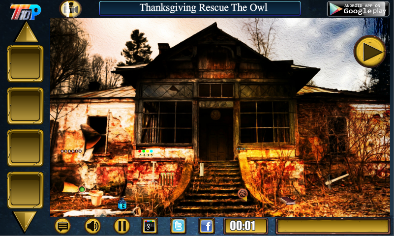 Thanksgiving Rescue The Owl