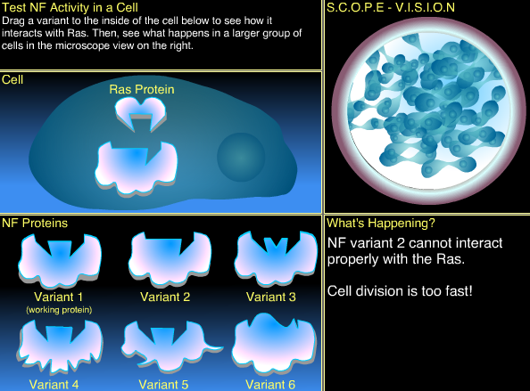 Test a Protein's Activity