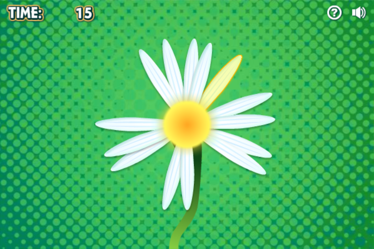 Daisy Petals