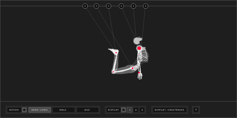 Wireframe Skeleton