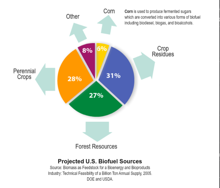 Projected U.S. Biofuel Sources