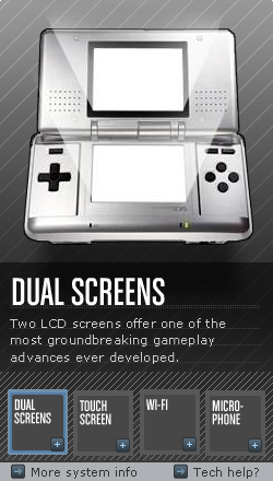 Nintendo DS System Info