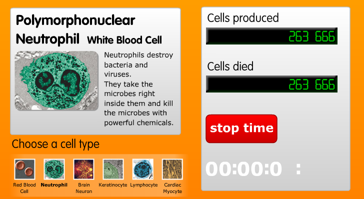 Cell Turnover