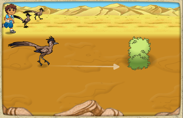 The Great Roadrunner Race!