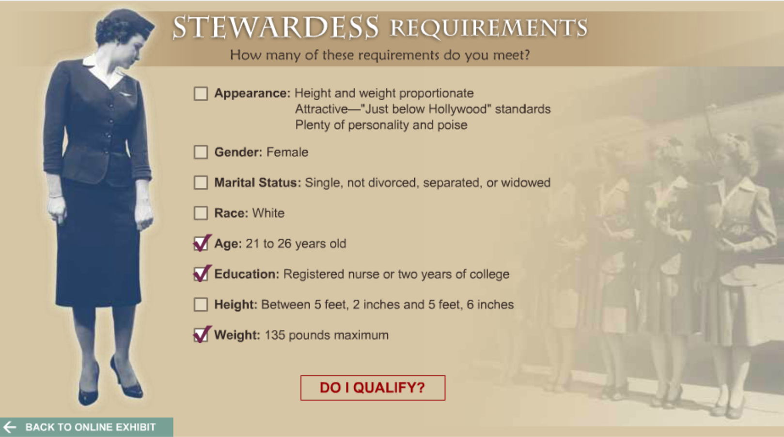 Stewardess Requirements