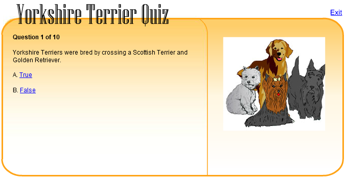 Yorkshire Terrier Quiz