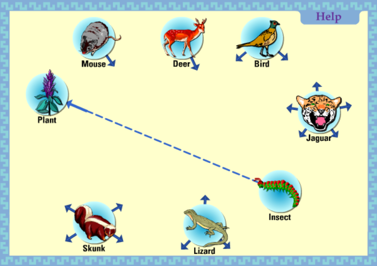 Build a Food Web