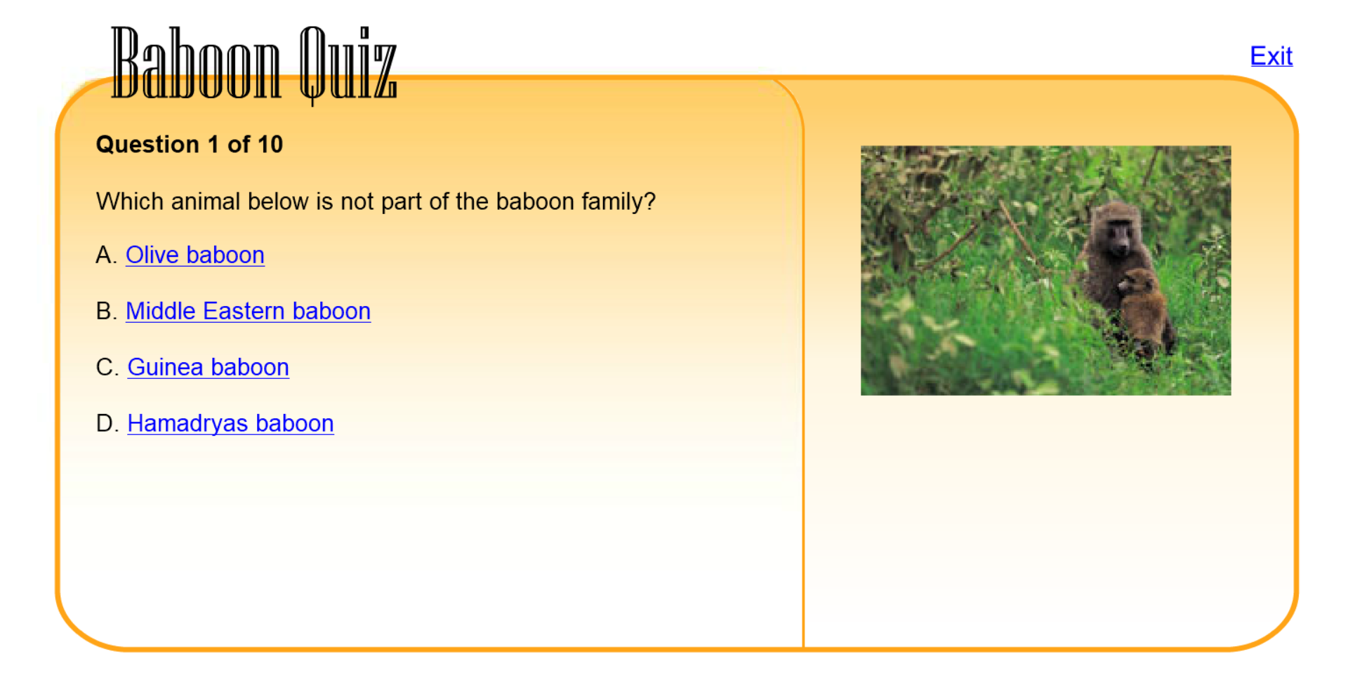 Baboon Quiz