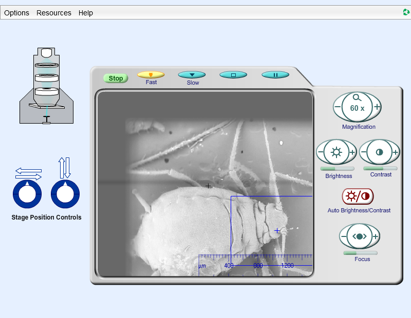 The Scanning Electron Microscope