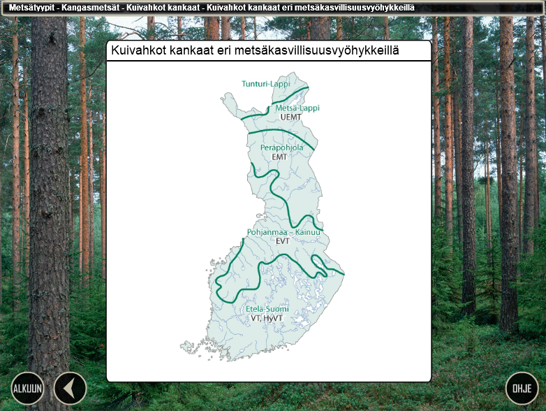 Metsätyypit: opas kasvupaikkojen luokitteluun