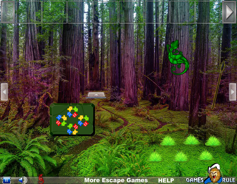 Anole Lizard Forest Escape