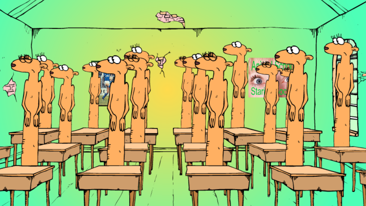 Animal School - Meercats