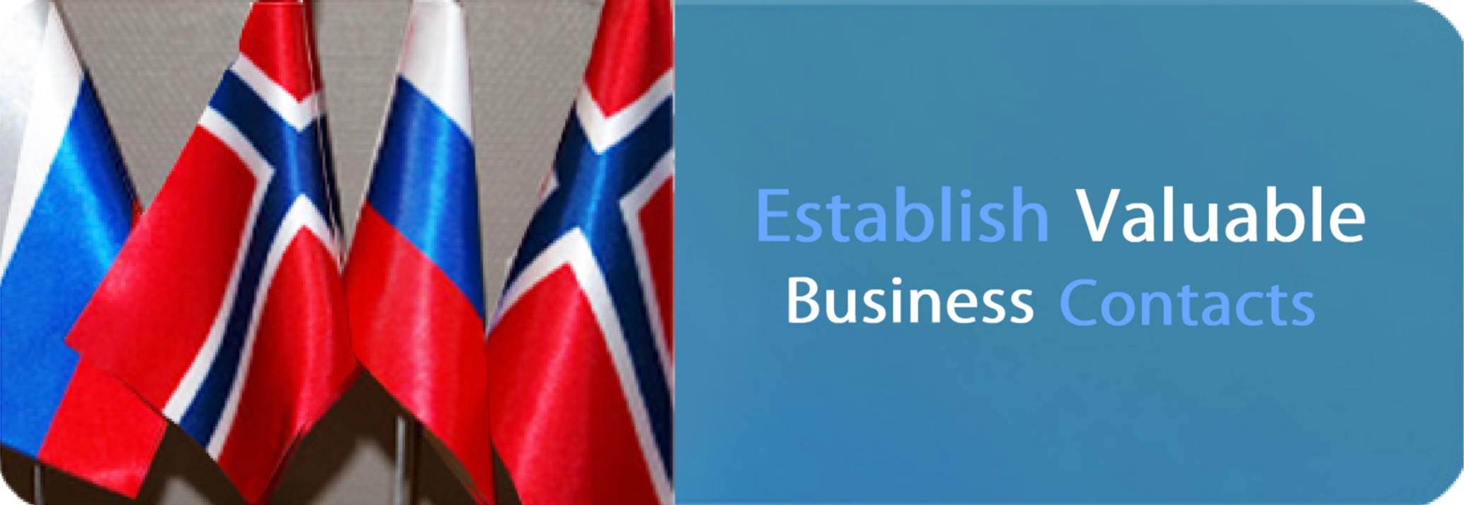 Norwegian Russian Chamber of Commerce Website Banner (Norway)