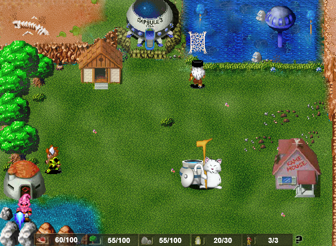 Dragon Ball Z Village