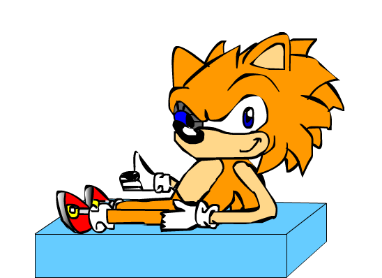 Old Style Kai The Hedgehog Animated