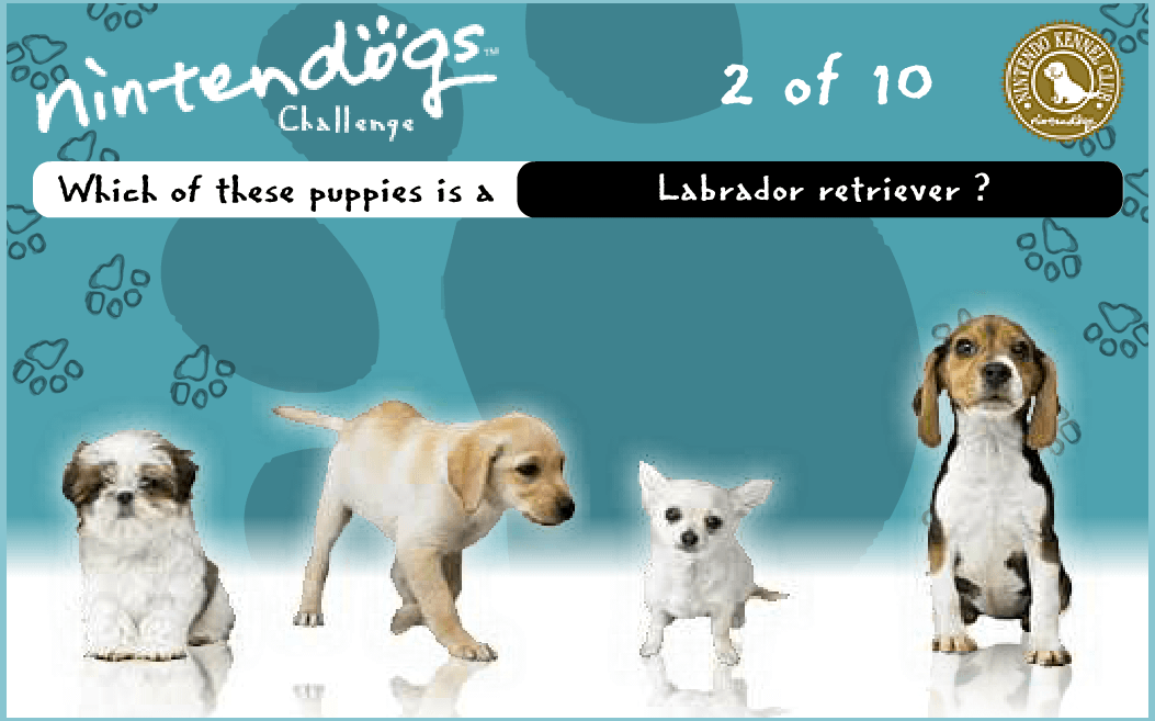 Nintendogs Challenge