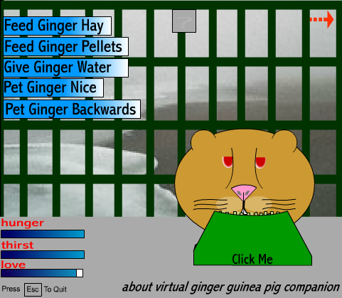 Virtual Ginger: The Guinea Pig Companion