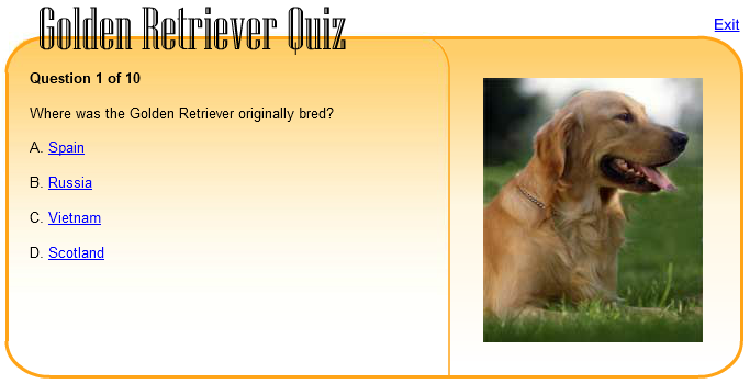 Golden Retriever Quiz