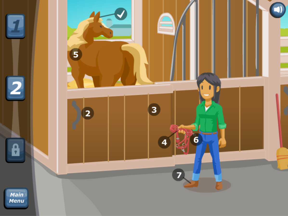 Stay Safe Working with Horses