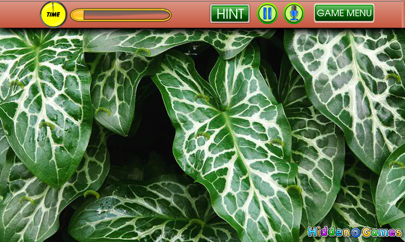 Hidden Leaf Caterpillar