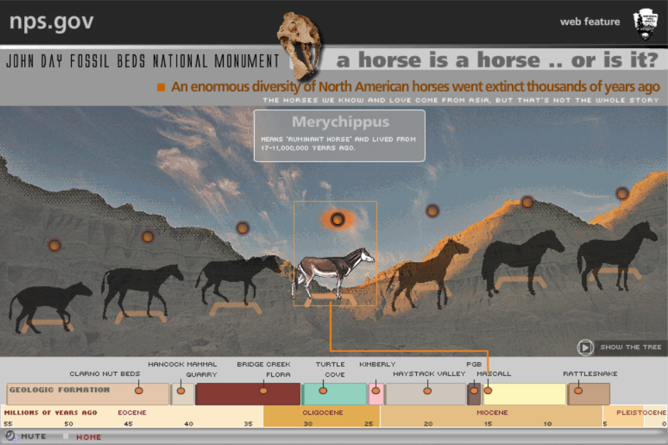 John Day Fossil Beds National Monument: The Present Unlocks the Past