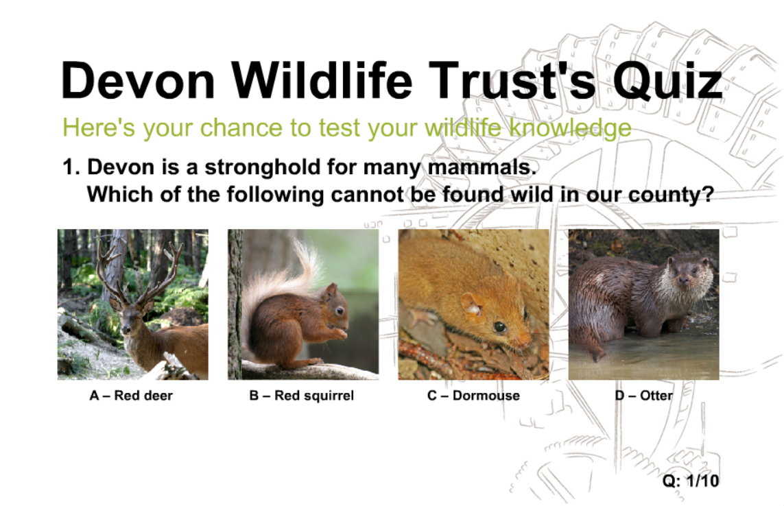 Devon Wildlife Trust's Quiz Two