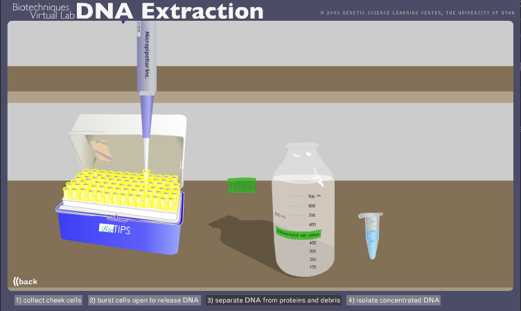 Virtual Labs: DNA Extraction