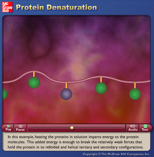 Protein Denaturation