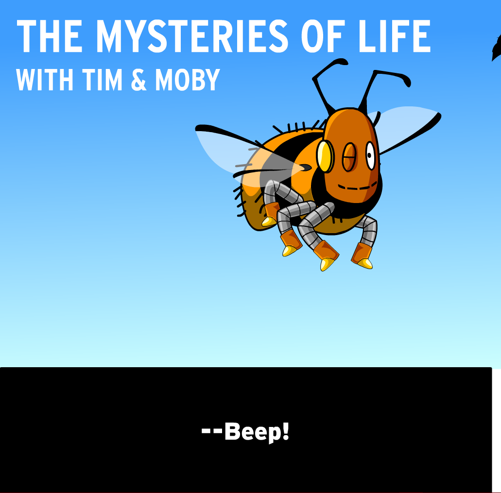 The Mysteries of Life With Tim & Moby: Honeybees