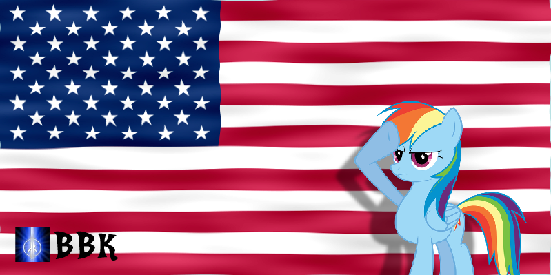 Rainbow Dash salutes the USA