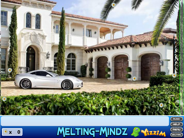 Sneaky Search: Daisies