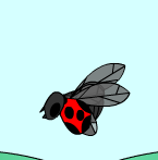 Lady Bug