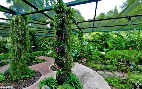 Botanic Gardens - Tan Hoon Siang Mist House Virtual Reality Image