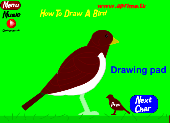 How to draw 3: Birds