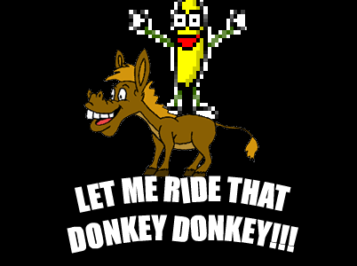 Let Me Ride That Donkey