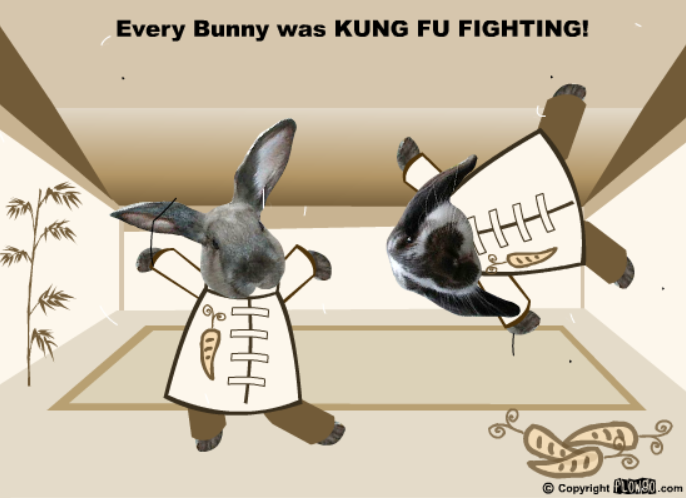 Crouching Bunny, Hidden Rabbit