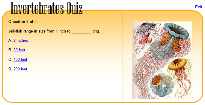 Invertebrates Quiz