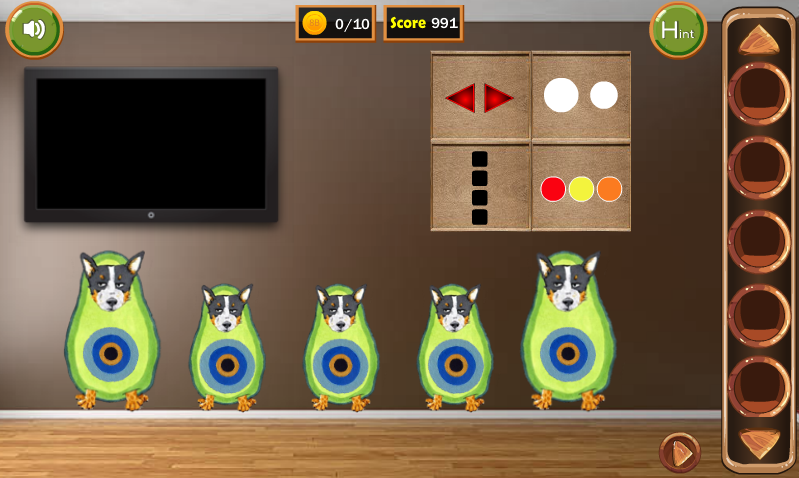 Scottish Terrier Escape