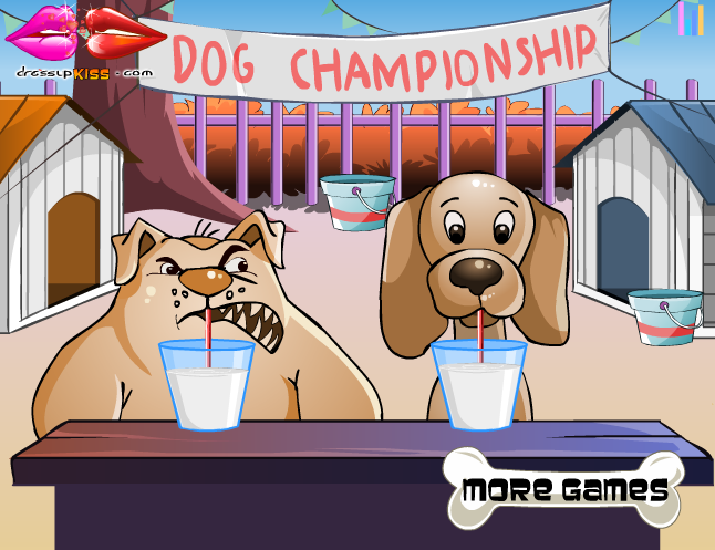 Dog Championship