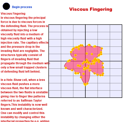 Viscous Fingering