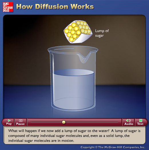 How Diffusion Works