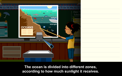 Ocean Habitats: with Annie & Moby