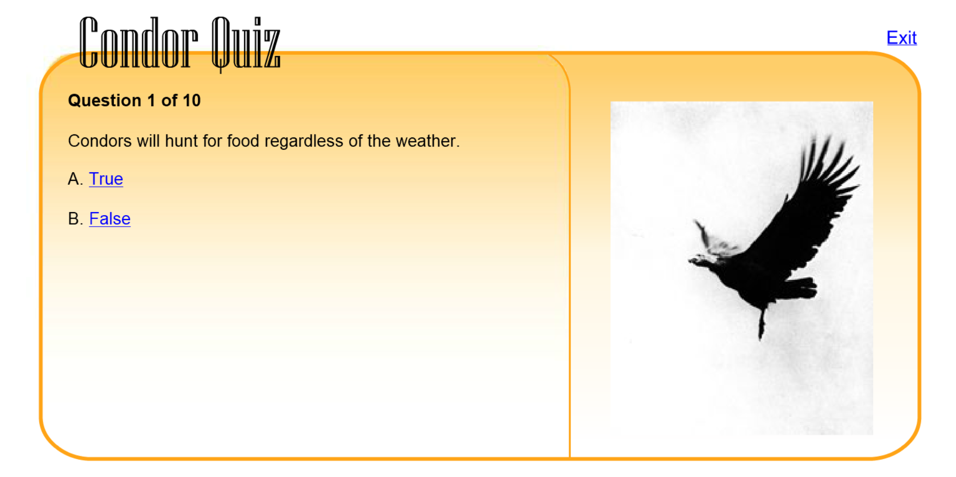 Condor Quiz