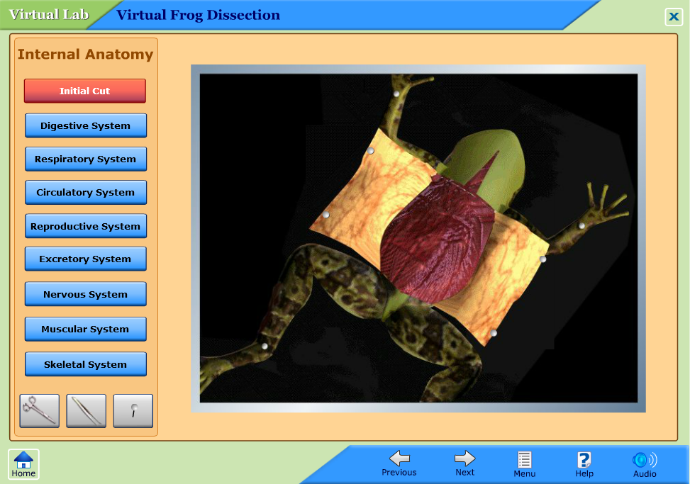 Virtual Frog Dissection