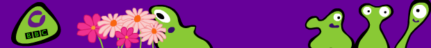 CBBC Flowers Banner