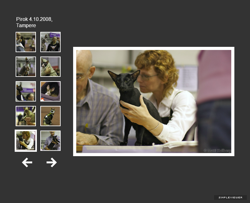 Pirok 4.10.2008, Tampere