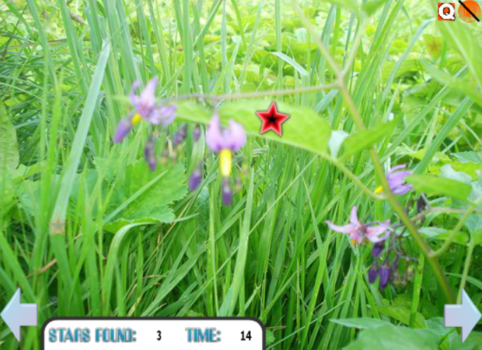 Hidden Stars: Summer