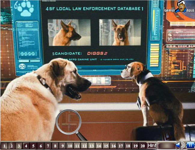 Hidden Numbers: Cats and Dogs